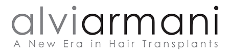 Alvi Armani - Logo