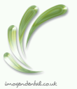 Imogen Dental - Logo