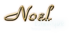 Noel Estetique - Logo