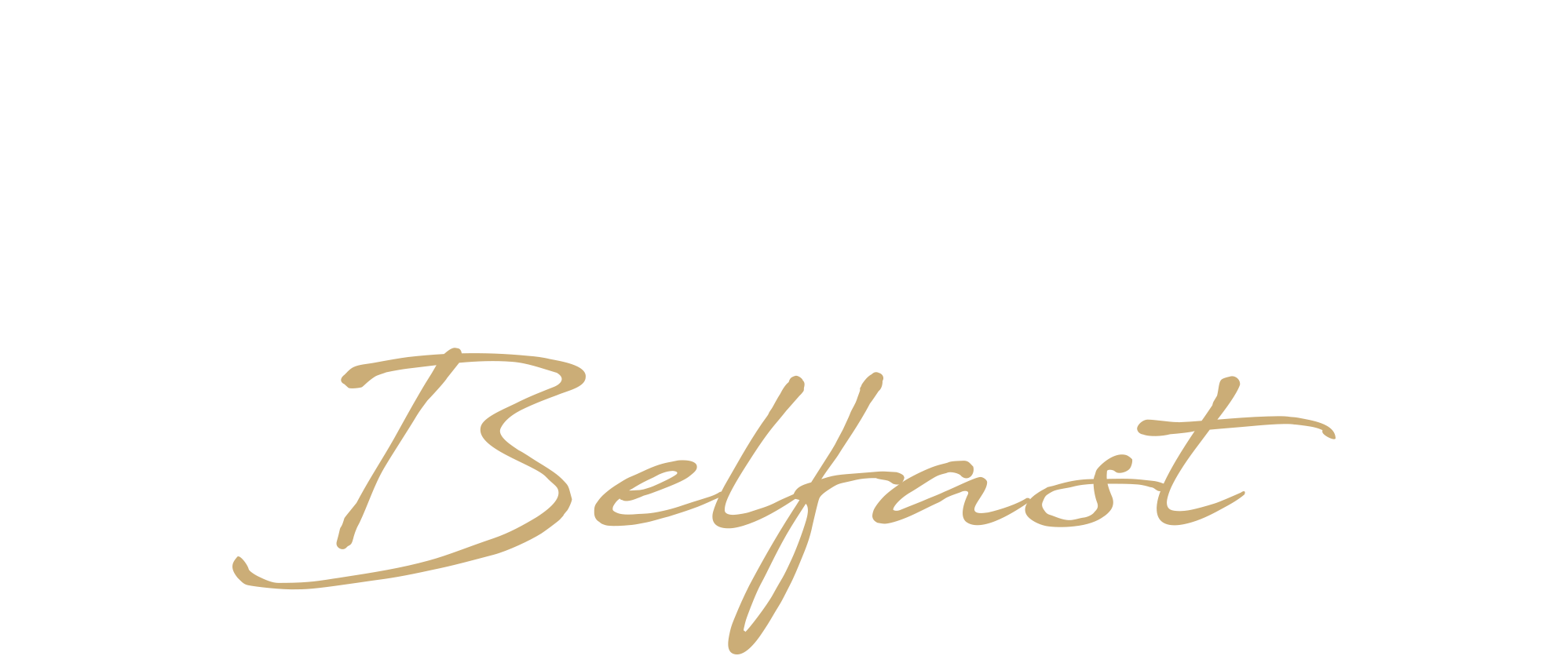 The Dental Centre Belfast - Logo